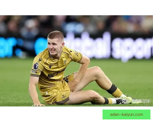 欧洲杯吉祥物持续备受关注，成为赛事推广的重要象征